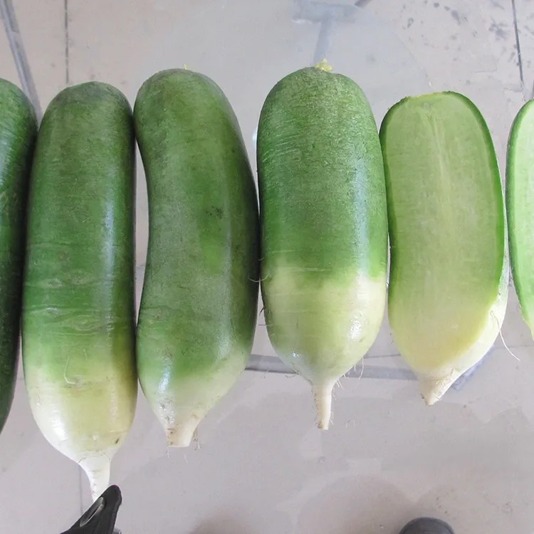 ಕುರುಕುಲಾದ ಹಸಿರು ಮೂಲಂಗಿ