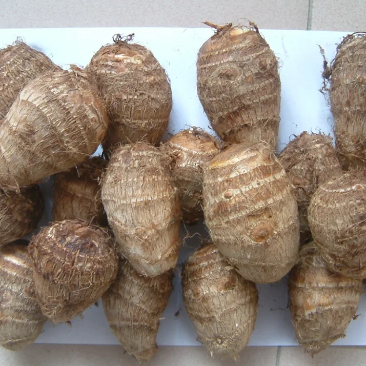 ಫೀಲ್ಡ್ ಫ್ರೆಶ್ ಟ್ಯಾರೋ