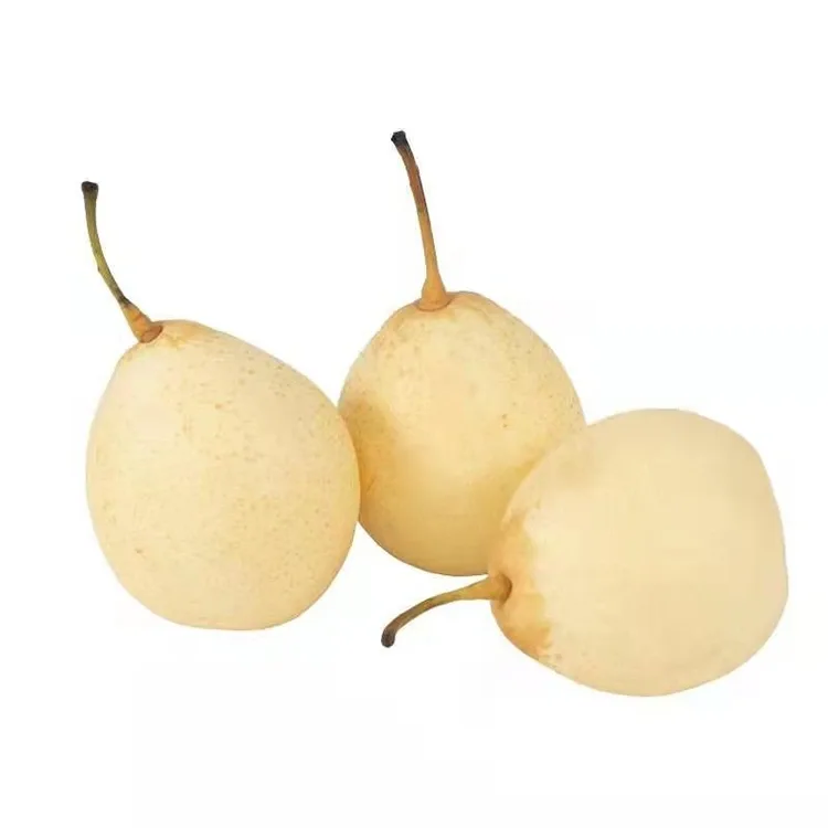ಹೊಸದಾಗಿ ಕೊಯ್ಲು ಮಾಡಿದ ಯಾ ಪಿಯರ್