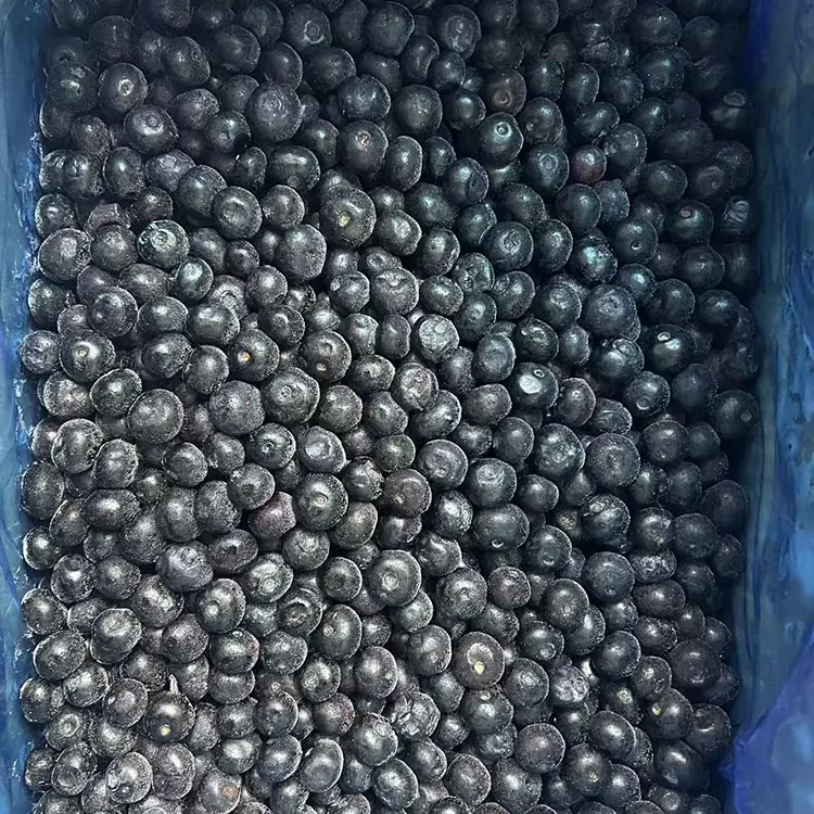 ಘನೀಕೃತ ಬ್ಲೂಬೆರ್ರಿ ಪ್ರೀಮಿಯಂ IQF ಬ್ಲೂಬೆರ್ರಿಗಳು