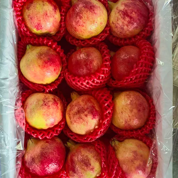 Premium Tunisian Soft-Seeded Pomegranates