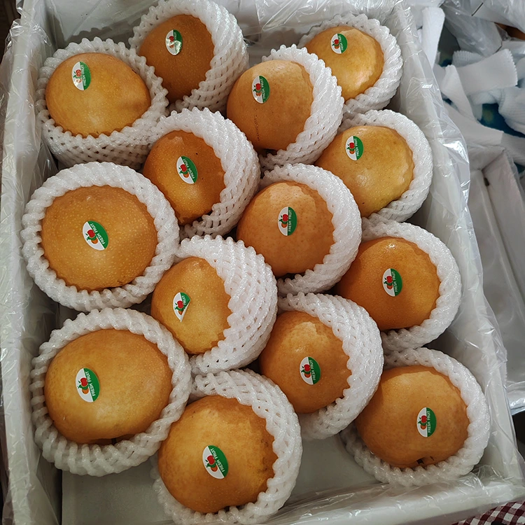 ಪ್ರೀಮಿಯಂ ಶಿಂಗೋ ಪೇರಳೆ
