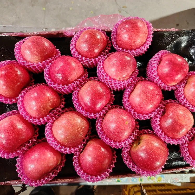 ಸುಪೀರಿಯರ್ ತಾಜಾ ಜಿಗುವಾನ್ ಸೇಬುಗಳು